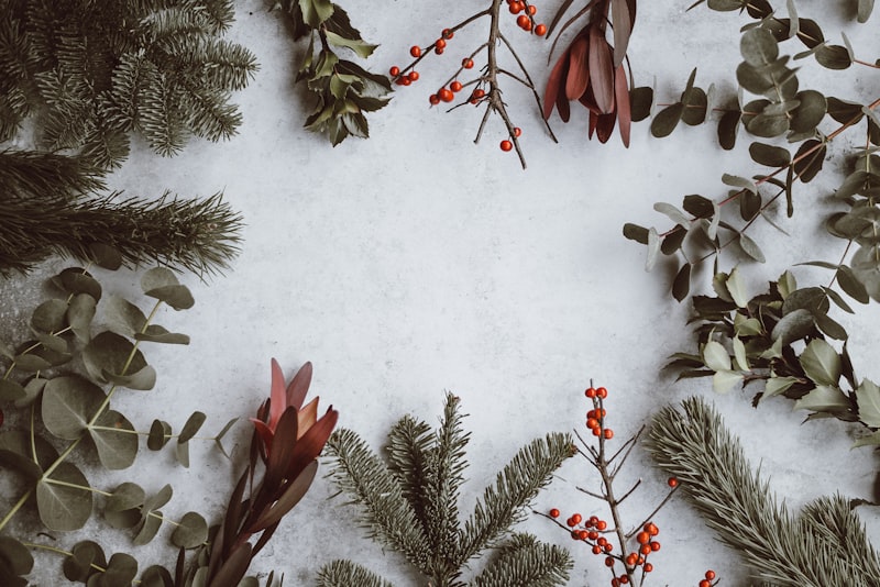Just Gismos - Days Until Christmas | Listicles | CPS offer thumbnail